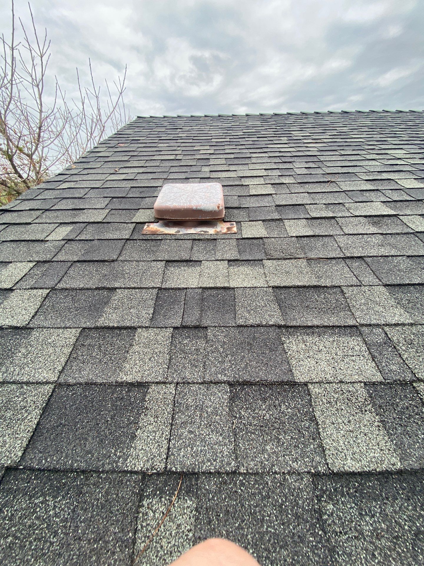 Roof Rejuvenation using Roof Maxx Treatment by Roof Maxx of Folsom