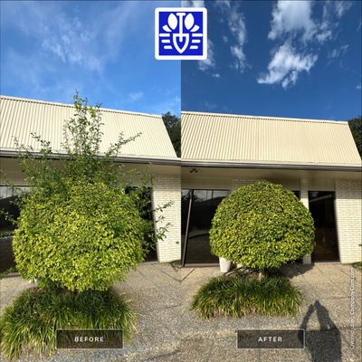 LANDSCAPE SERVICES: LANDSCAPE CLEANUP