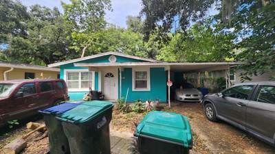 Tree Damage Claim in Orlando