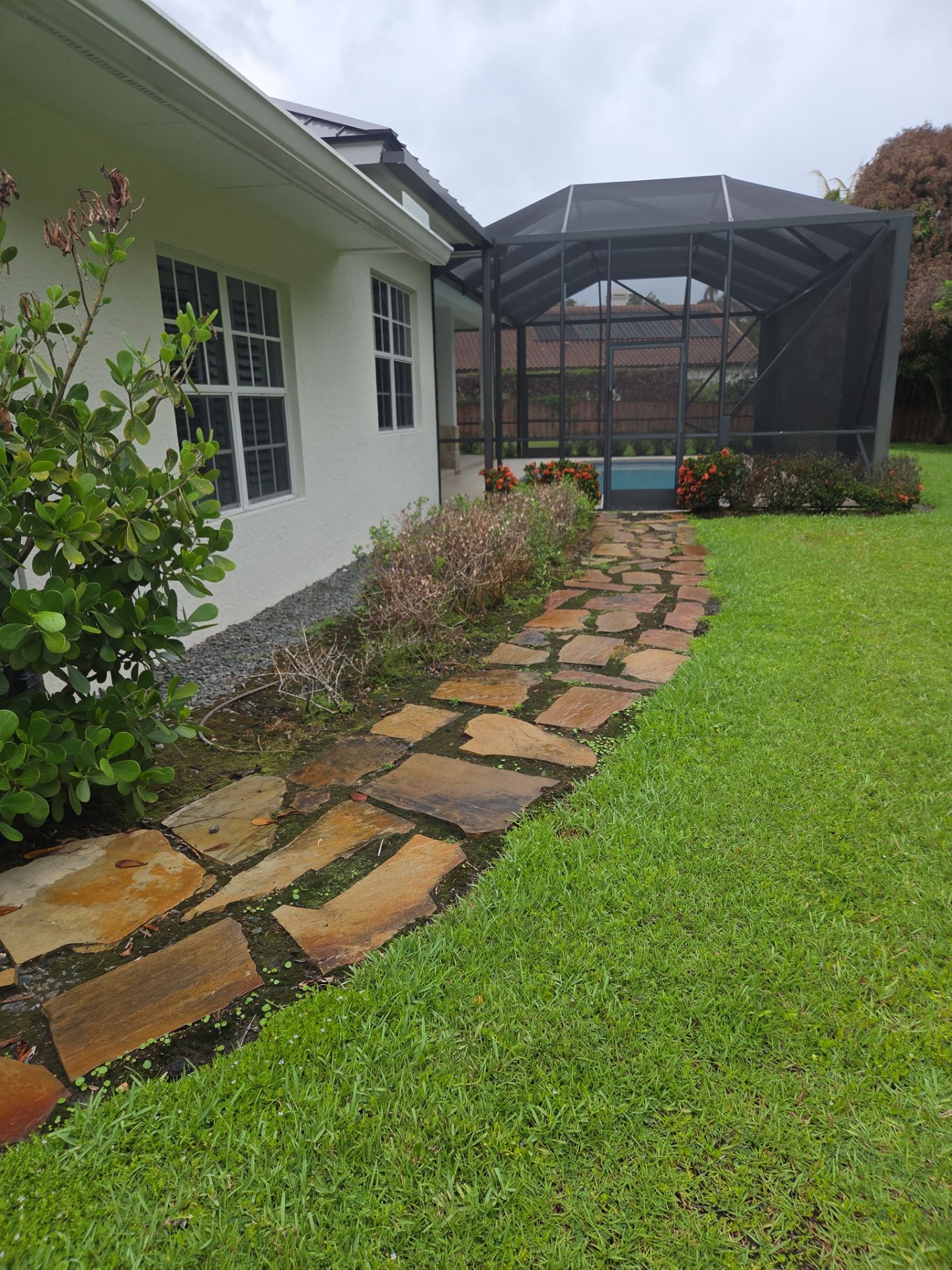 🌿✨ From Problem Areas to Paradise in Palm City! 🏡💧🌴 by Alpha Zeta Enterprises Inc