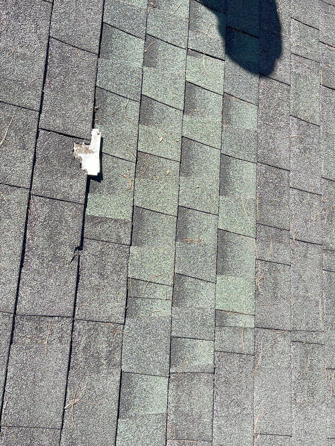  "Leak-Free Living: Expert Shingle Repairs for Lasting Protection!"  by Sensible Home Solutions