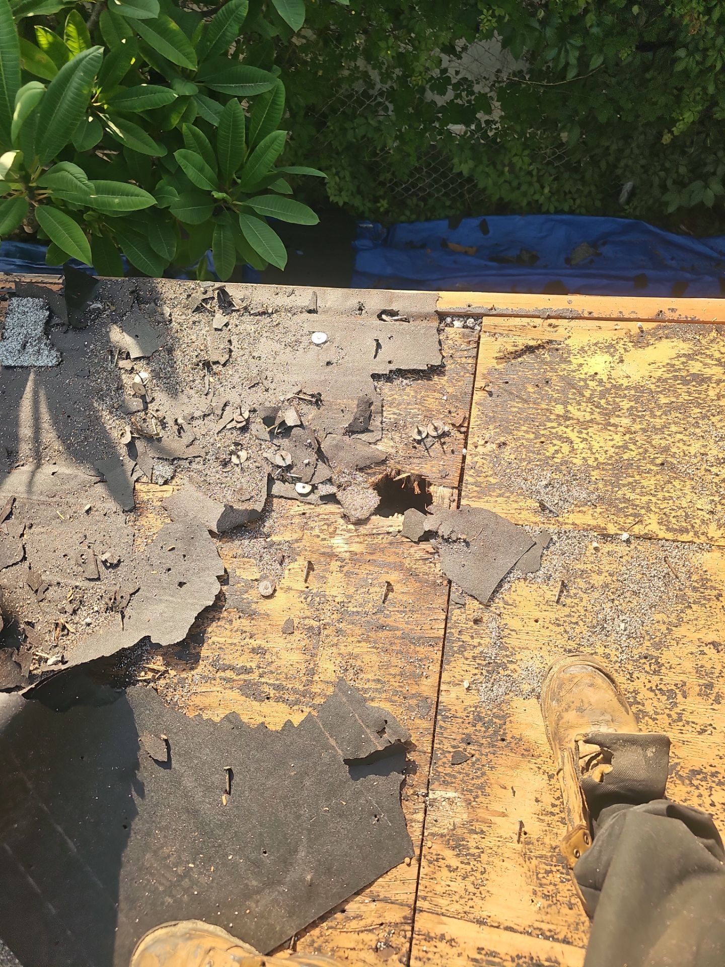 Project in St. Petersburg 33711 by Mitchell Roofing Company LLC 