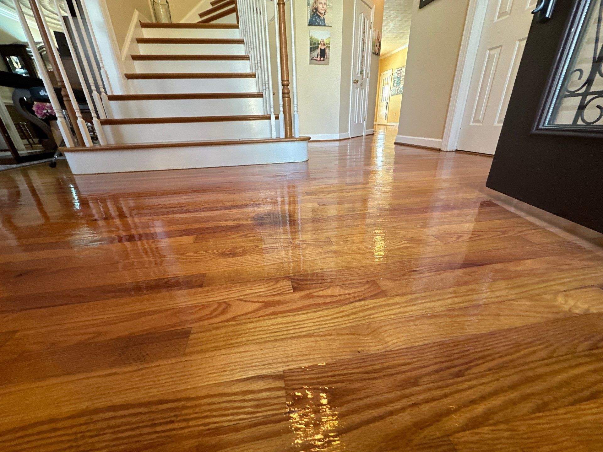 Hardwood Renewal  using Finish Em by Monster Clean