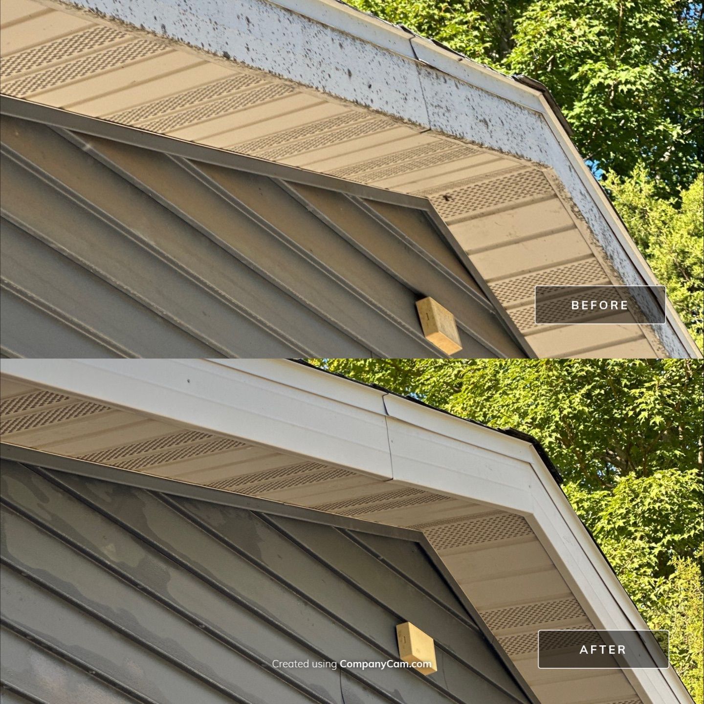 Project in Genoa City by Simmons Power & Soft Washing