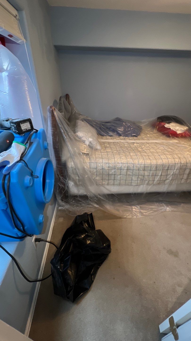 Mold Remediation by Accountable Home Services