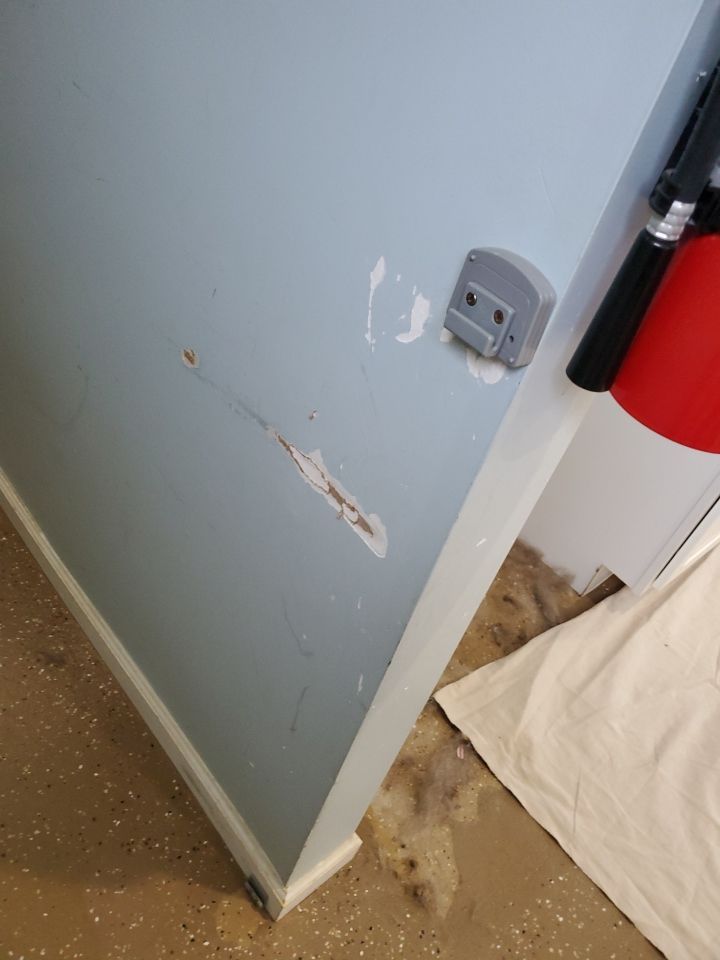 Kennel Floor Coating and Wall Painting using Penntek by Spectrum Painting, LLC