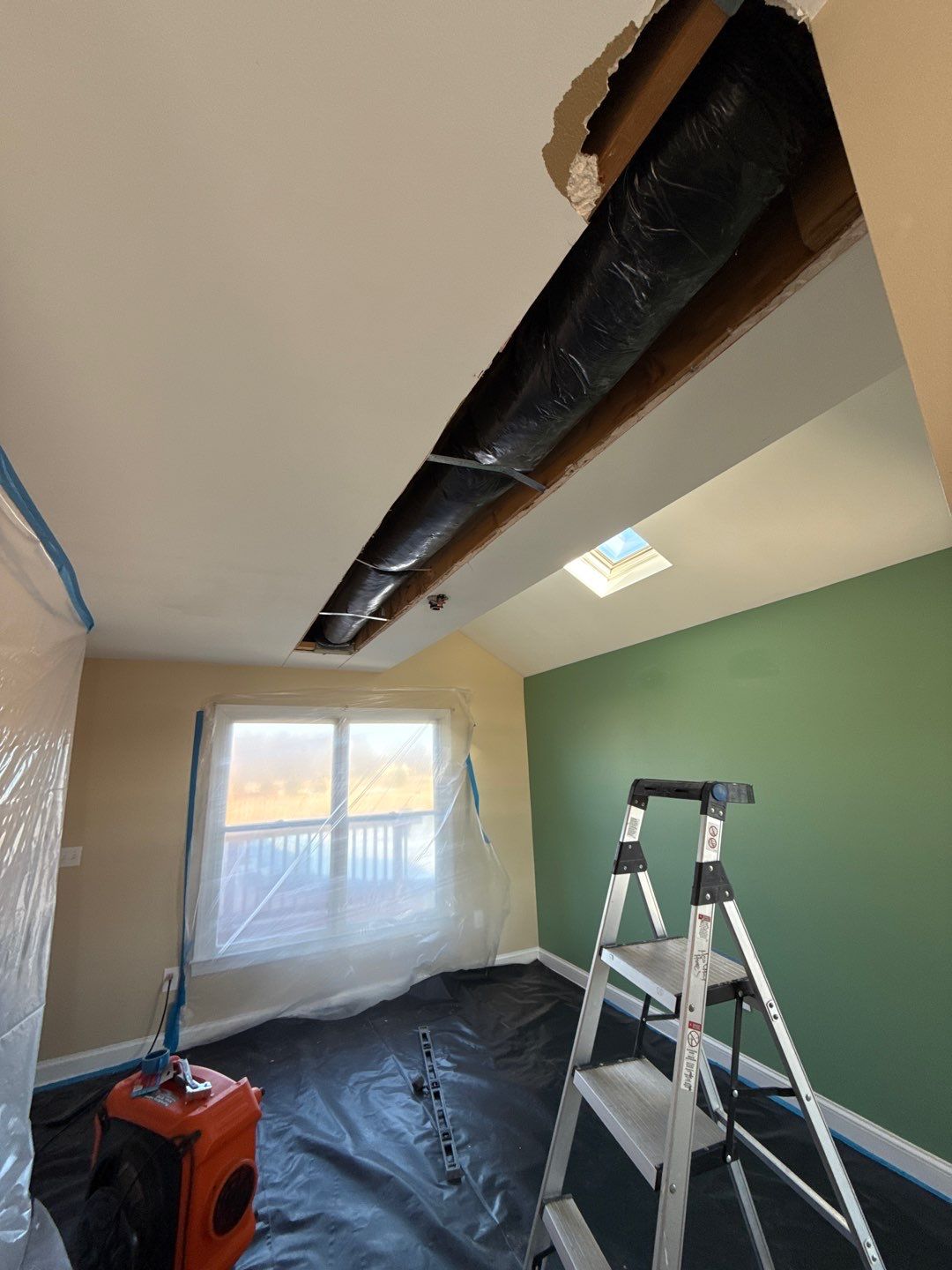 Mold in Air Ducts Remediation by Healthy Home Solutions