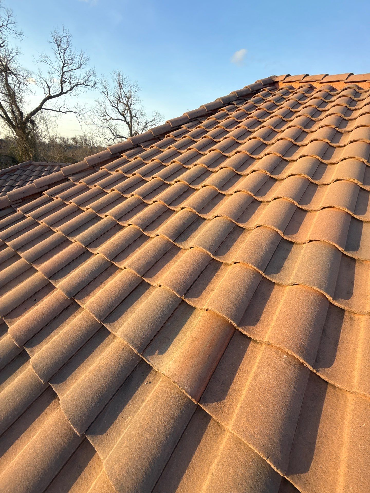 Roof Replacement in Sienna Village of Bees Creek, Missouri City TX by Roof Repair Company
