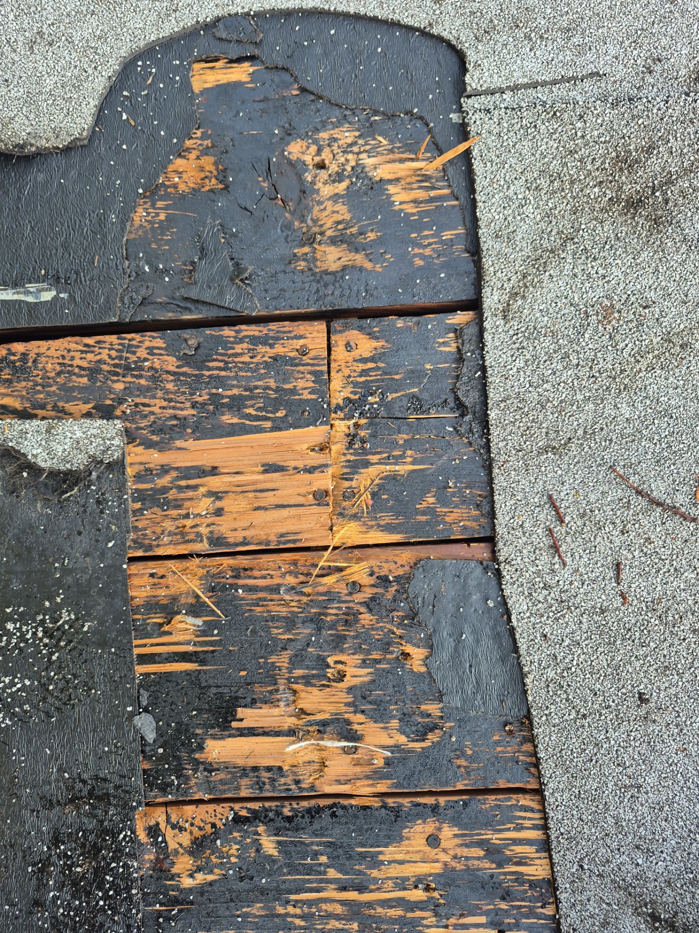 Project in St. Petersburg 33710 by Mitchell Roofing Company LLC 