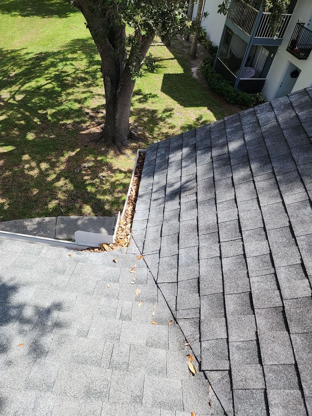 Commercial gutter cleaning Naples & Marco Island, FL before photo with filled gutters