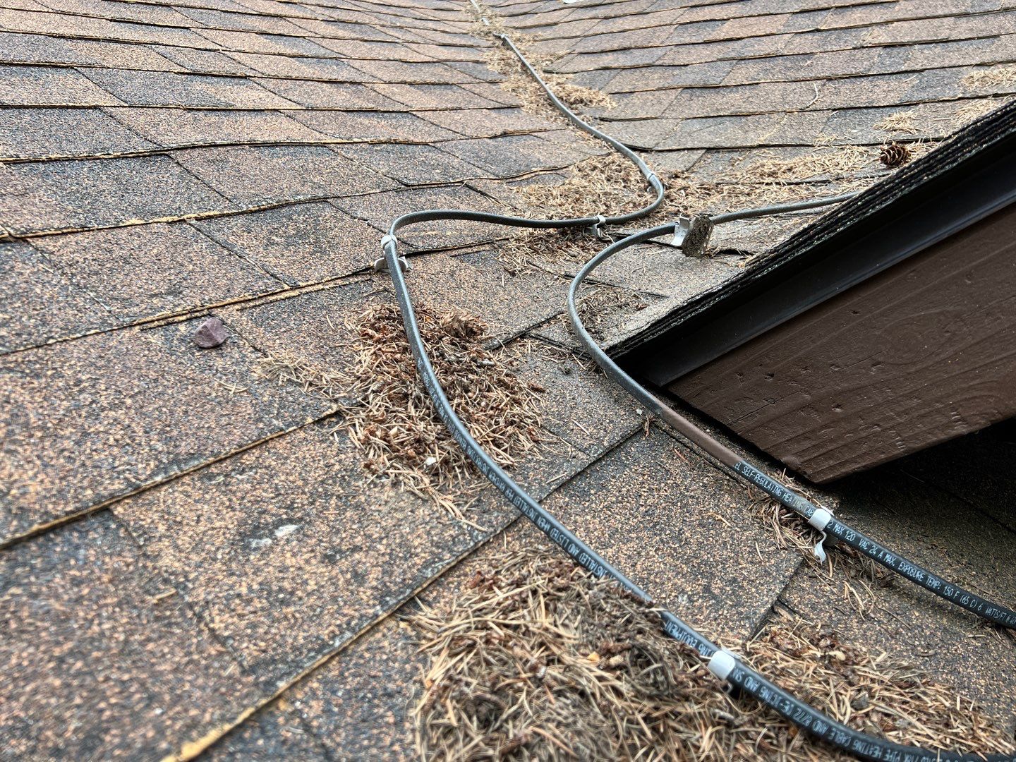 GAF Timberline HDZ - Hunter Green by Montana Roofing Solutions