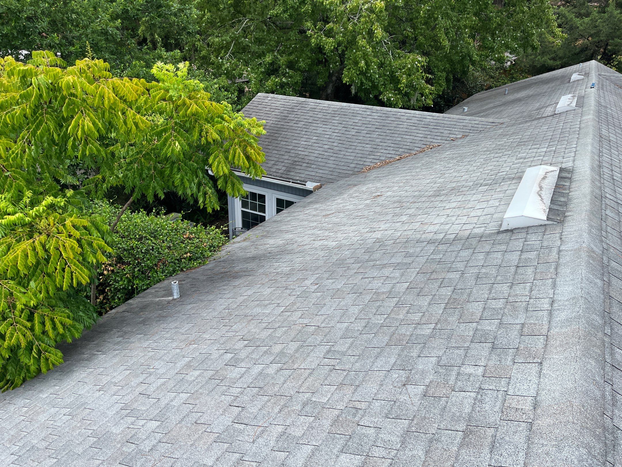 Shingle -> Shingle by Prime Roofing