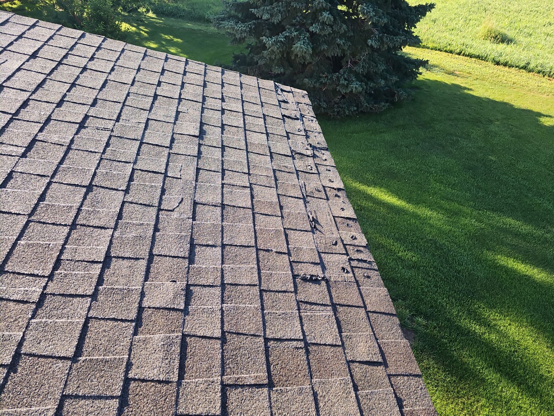 HailGuard Roofing System Replacement – Lexington by Loyal Nine