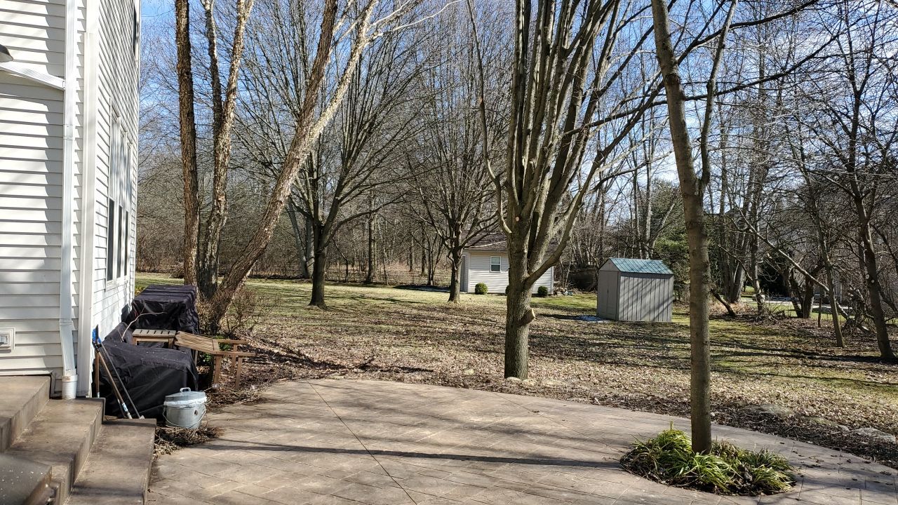 Tree Removal using Tree Removal by Mike Jones & Sons Tree Service LLC 