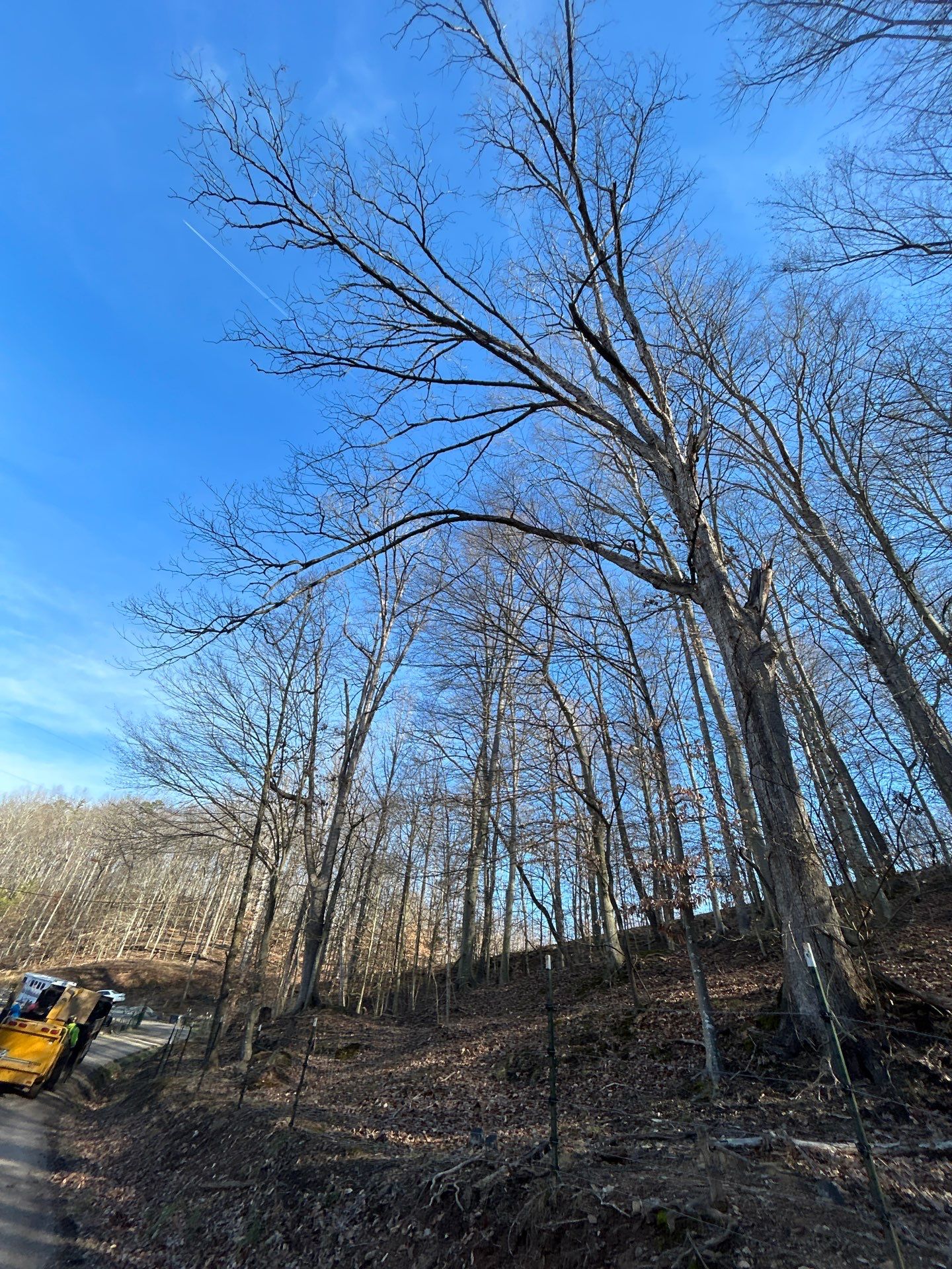 Project in WV by Jones Empire LLC