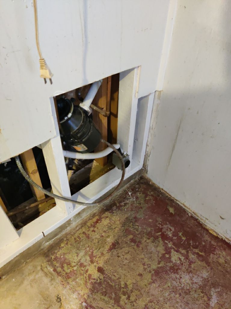 Mold Remediation in Basement by Accountable Home Services