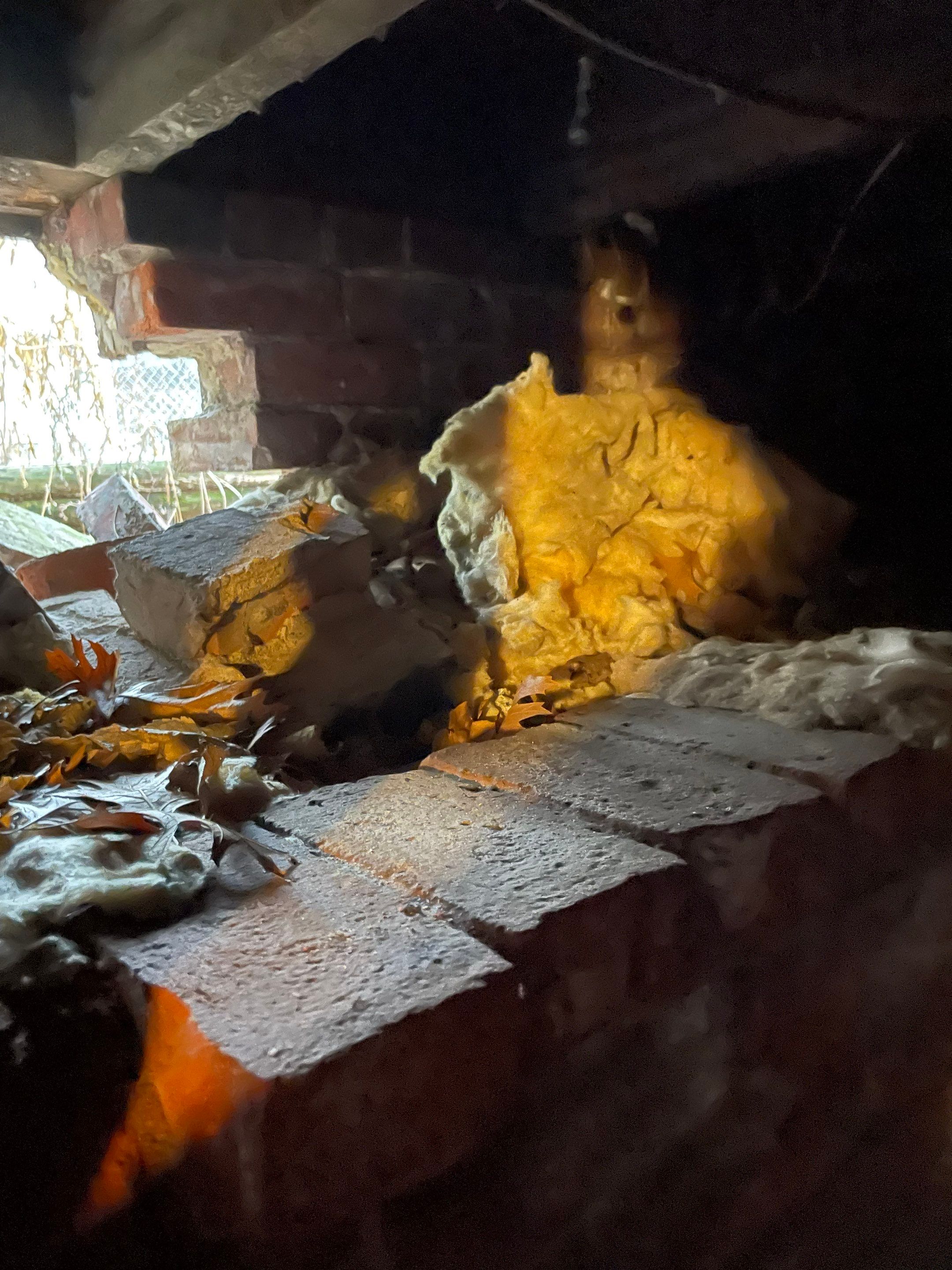 Excavation, Foundation Rebuild, and Masonry Repair by ACE Waterproofing & Basement Solutions