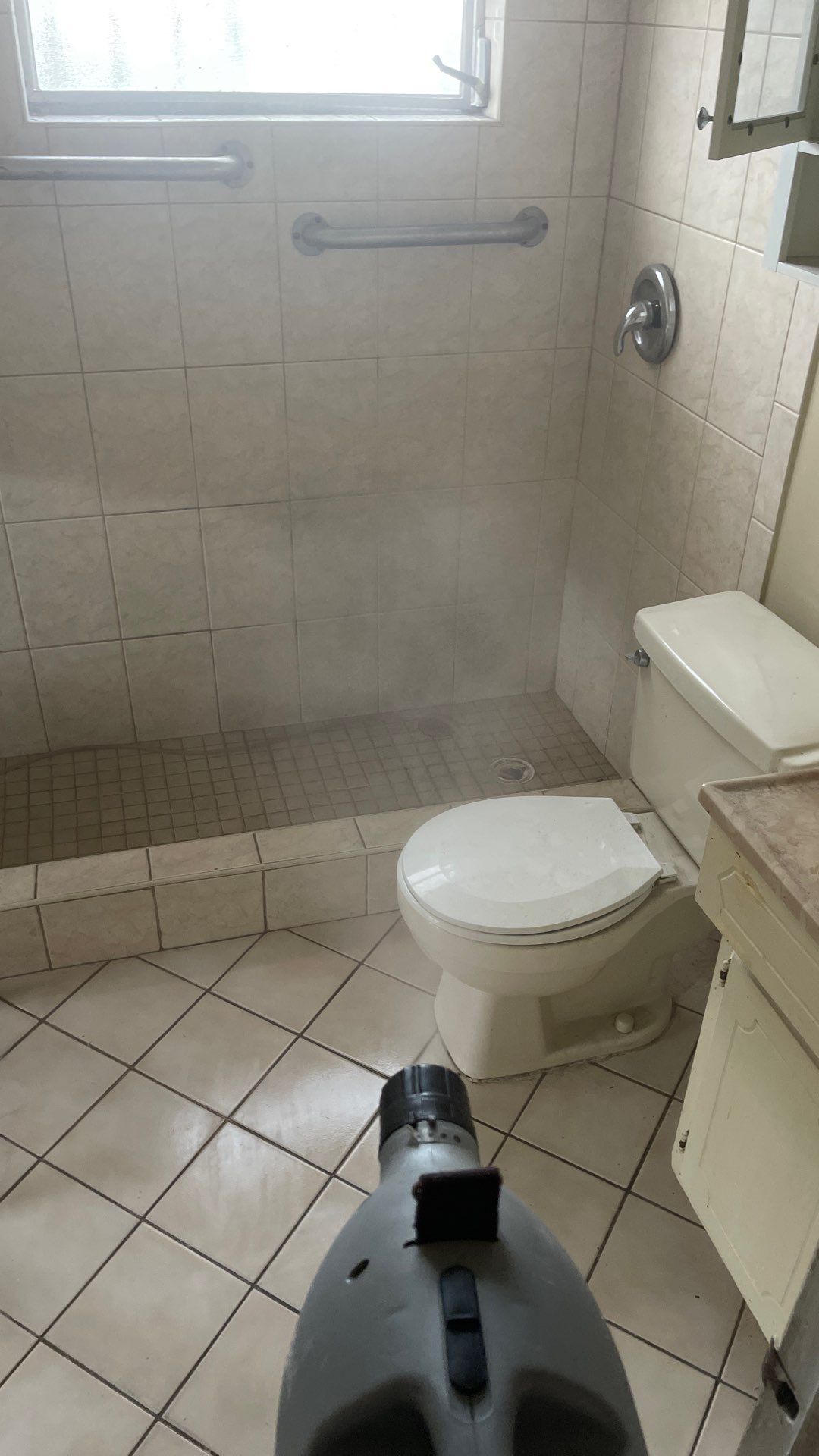 Mold Remediation  by THE RAPID TEAM