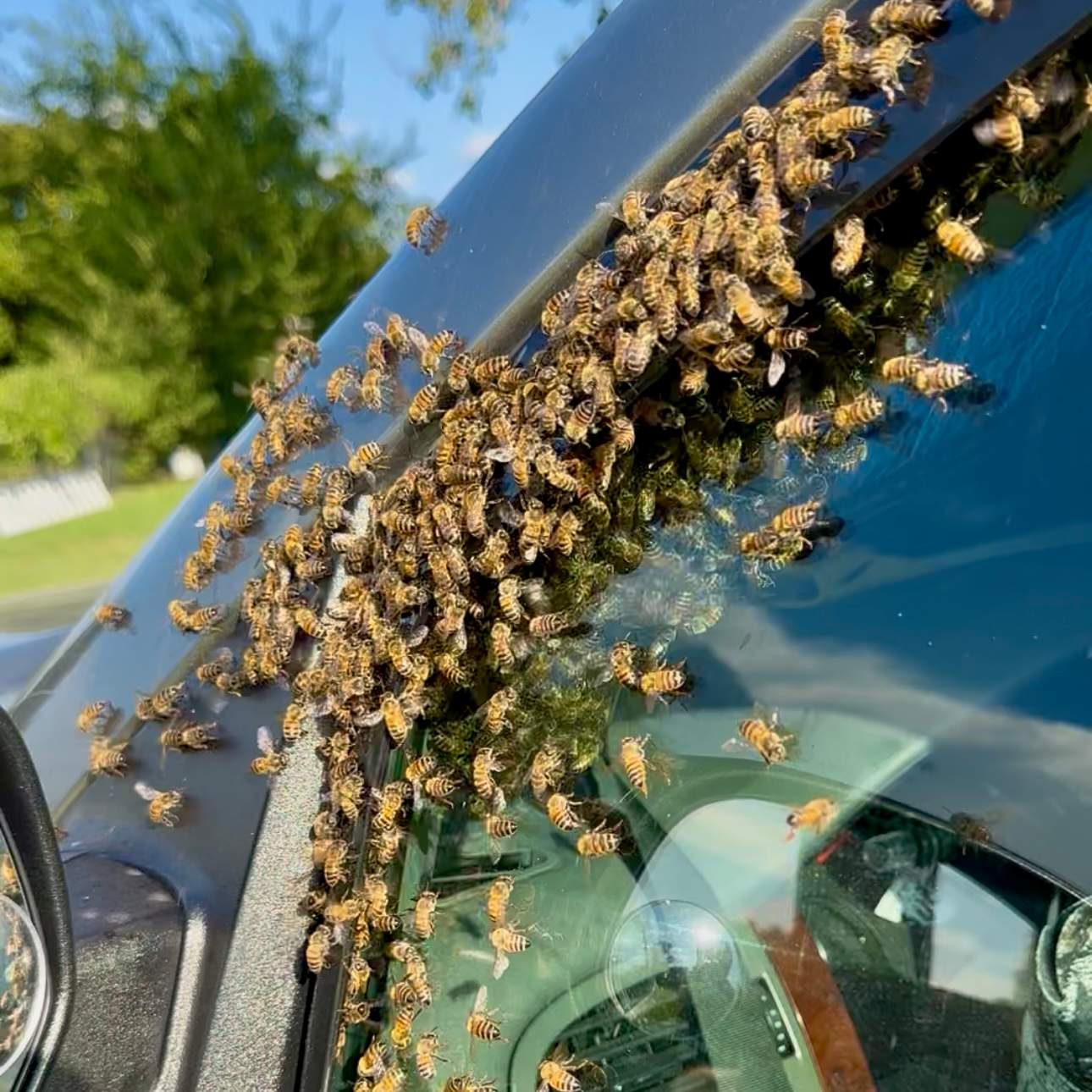 Composter by Rockwall Honey Bee Company