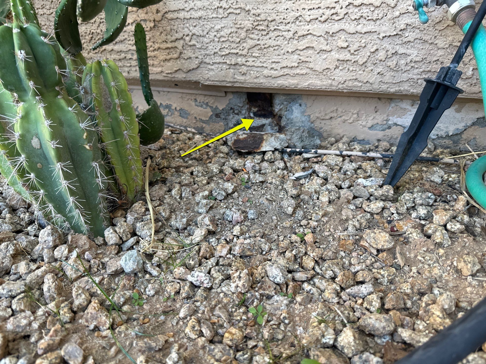 Exterior Painting - Glendale by Crash of Rhinos Painting & Garage Floors