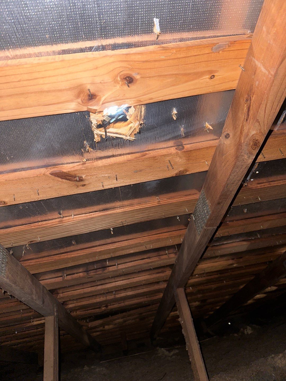 Residential Roofing Repair using Owen's Corning Duration (Lifetime) Shingles by Roof Repair Services LLC