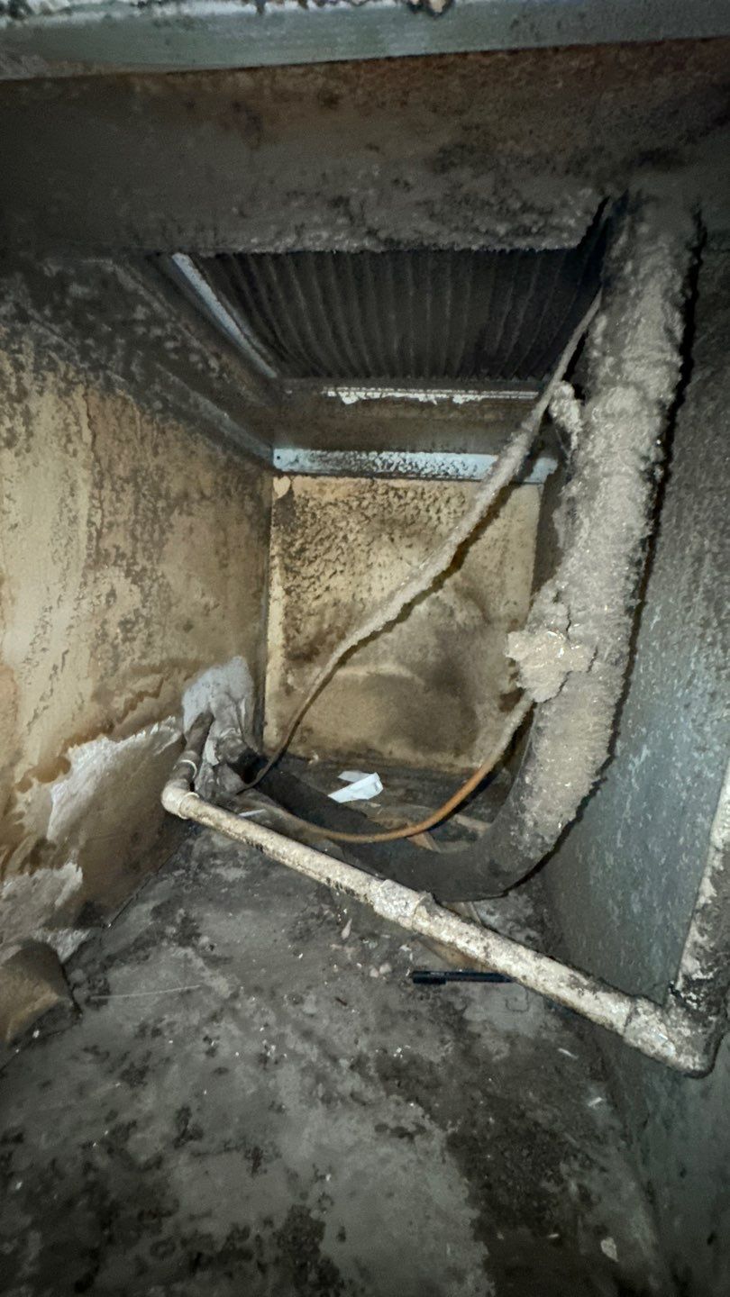 Commercial Air Duct Cleaning in Tavares by Hygienic Air, Inc