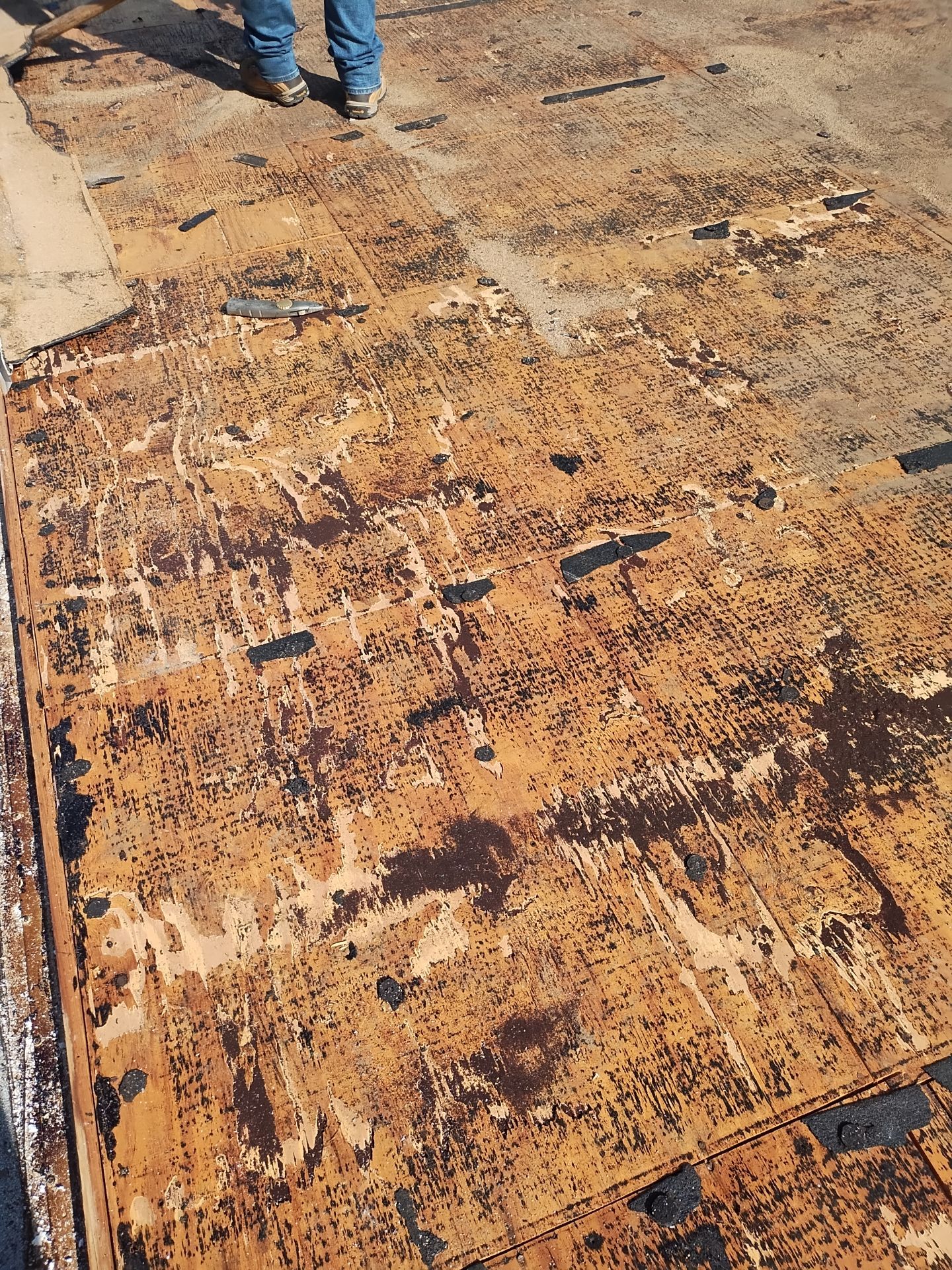 Project in St. Petersburg 33703 by Mitchell Roofing Company LLC 