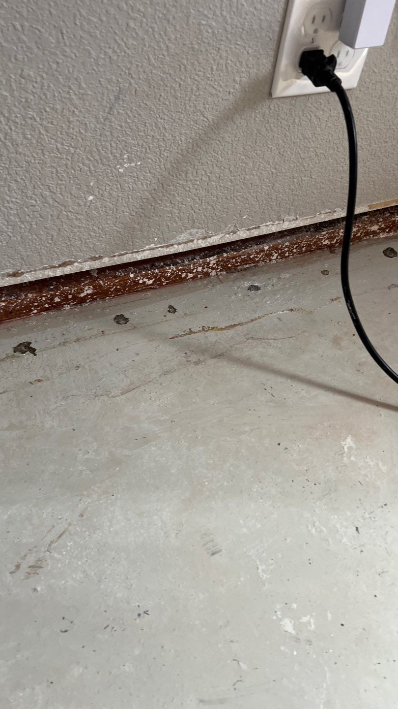 Mold Remediation  by Accountable Home Services