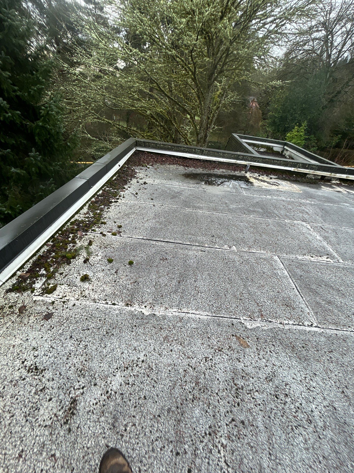 Project in Kirkland by Connolly Construction Company