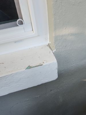 Project in Clearwater