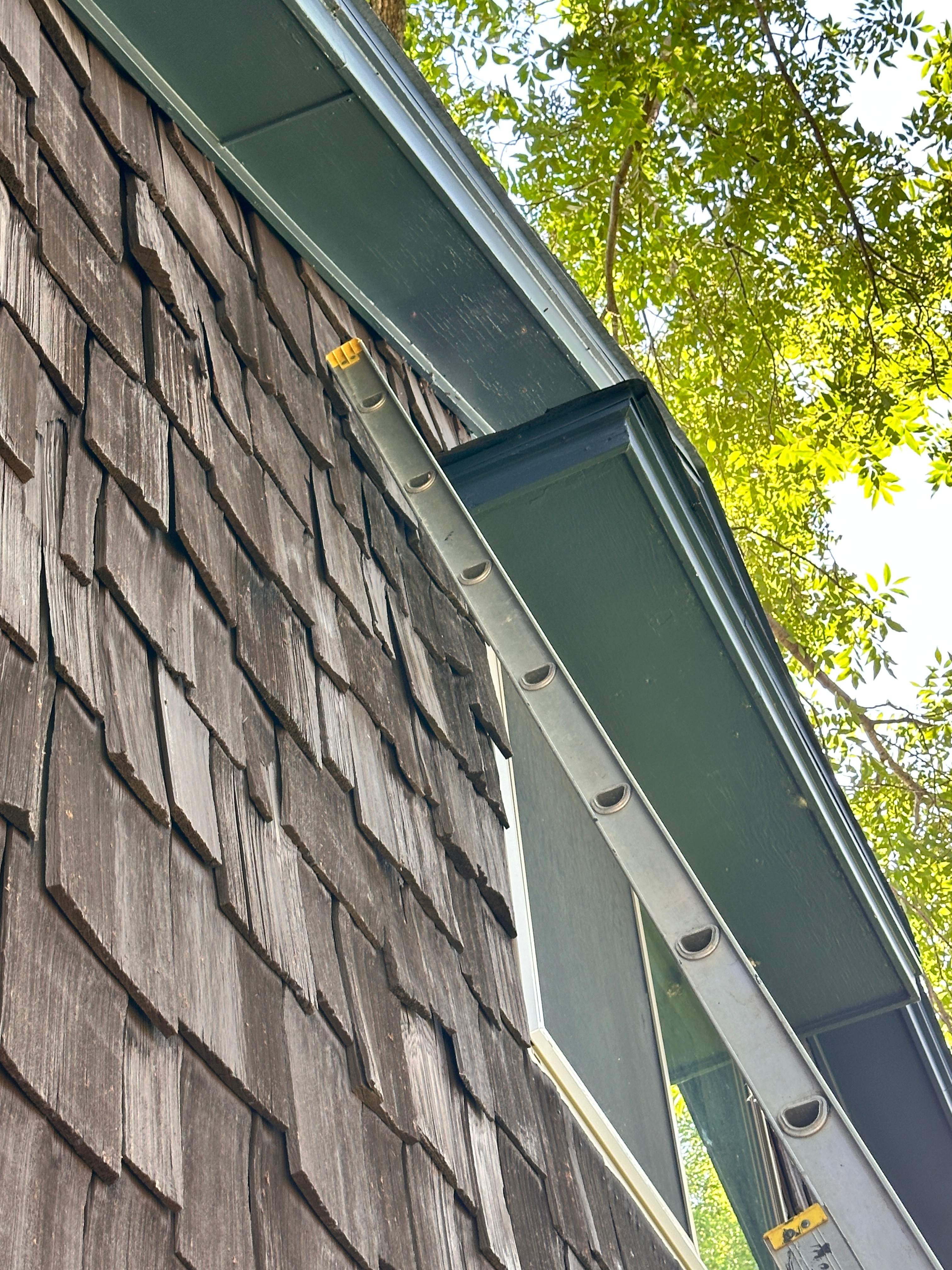 Sneaky! by Rockwall Honey Bee Company