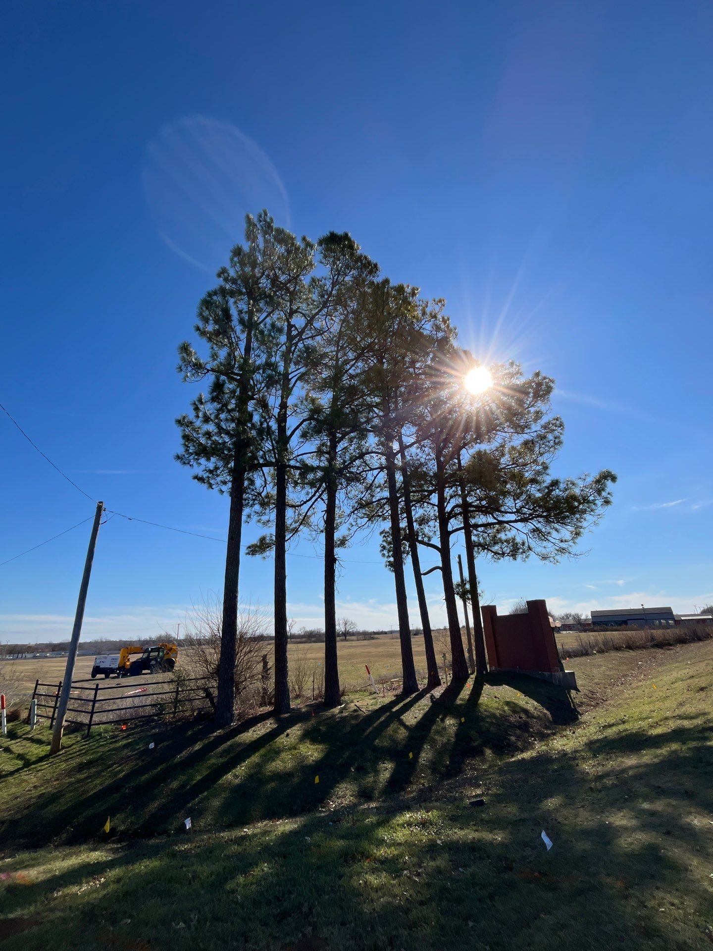 Pine Removals by Clays Services Inc