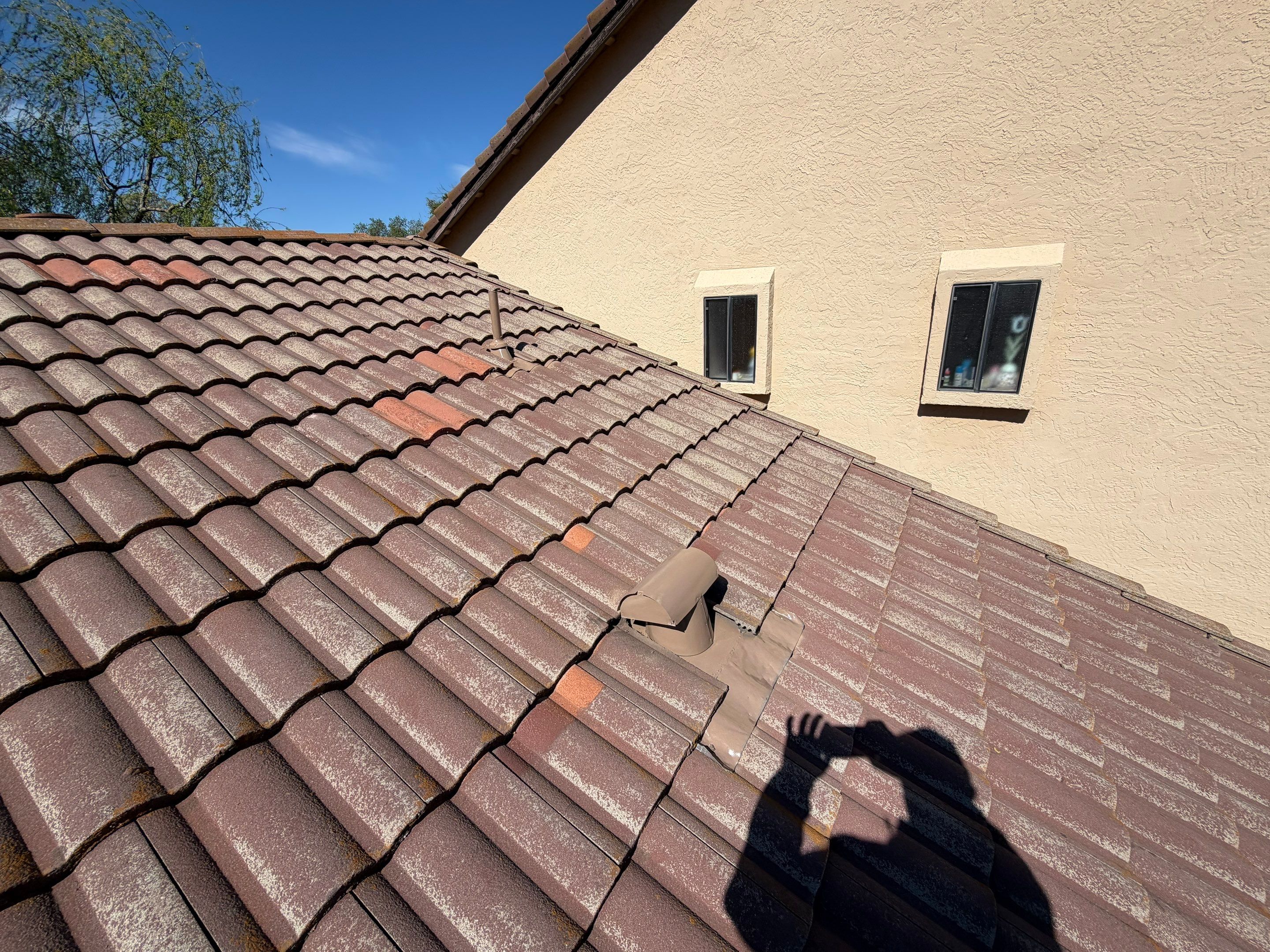 Project in Citrus Heights  by NuLead Construction Inc