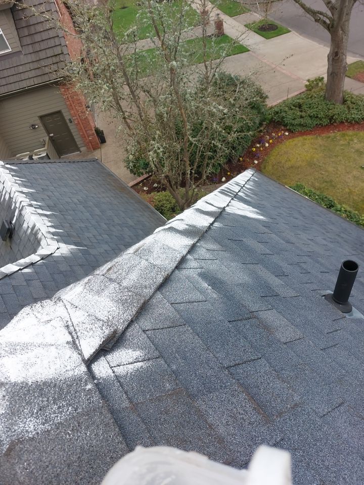 Roof Cleaning  using Moss Treatment  by BEST Roofing & Waterproofing