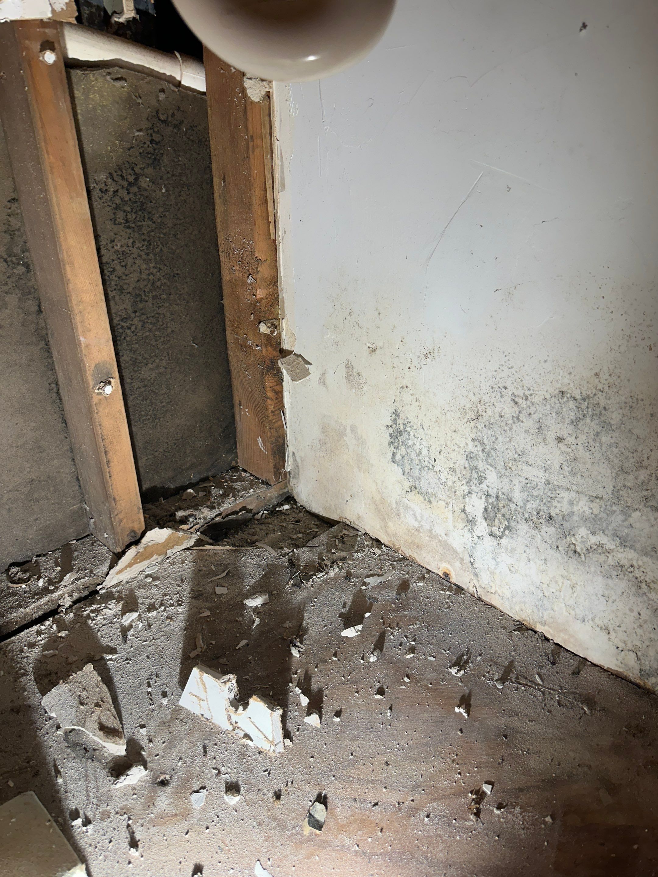 Basement Mold Remediation by Home Guarantee, LLC