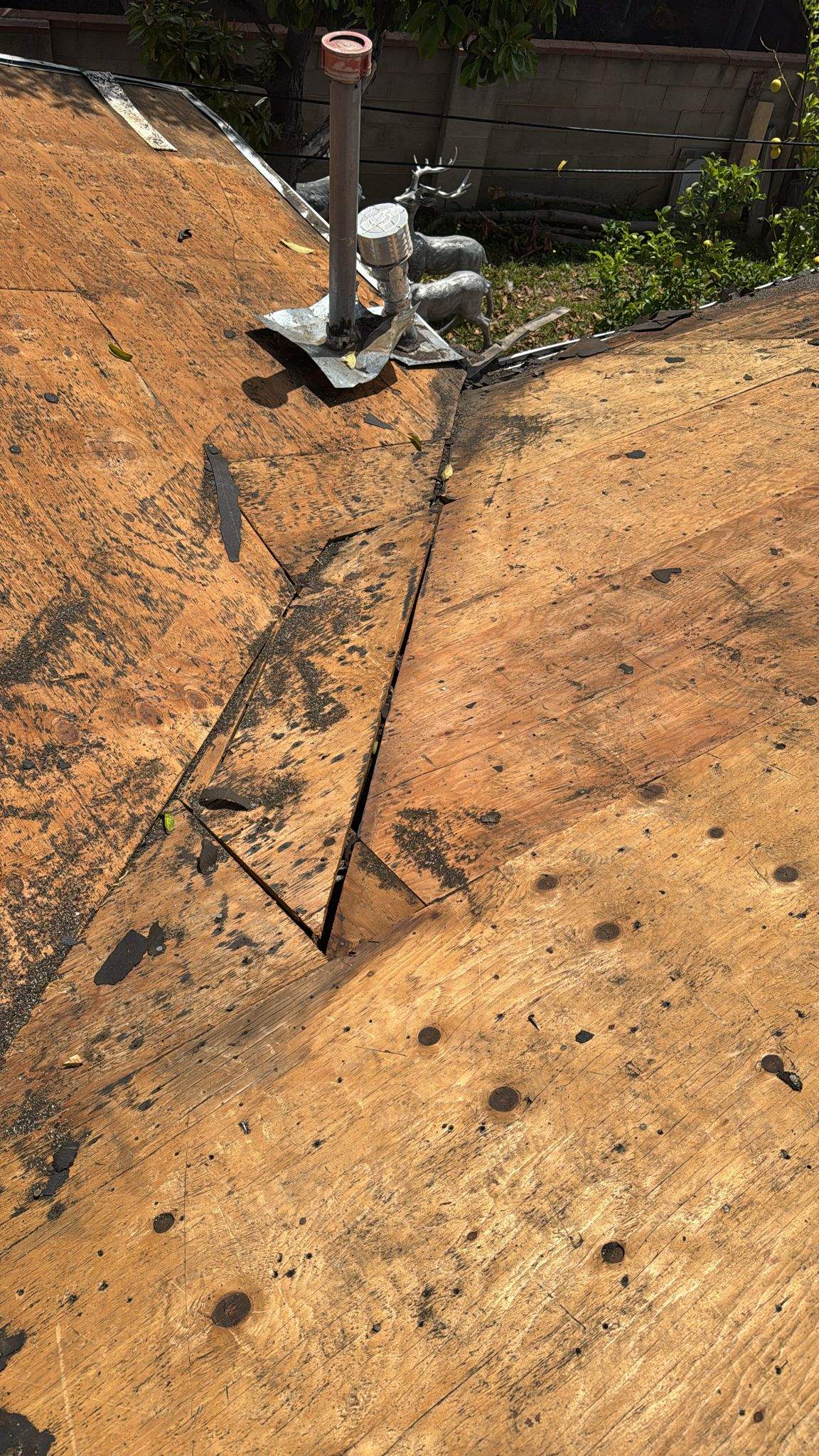 Roof Replacement - 12566 Mineola St by Epic Roof Replacement