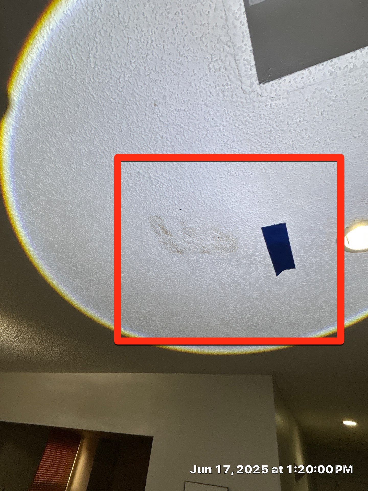 Mold Removal In Sarasota Florida by Ampm Restoration Services
