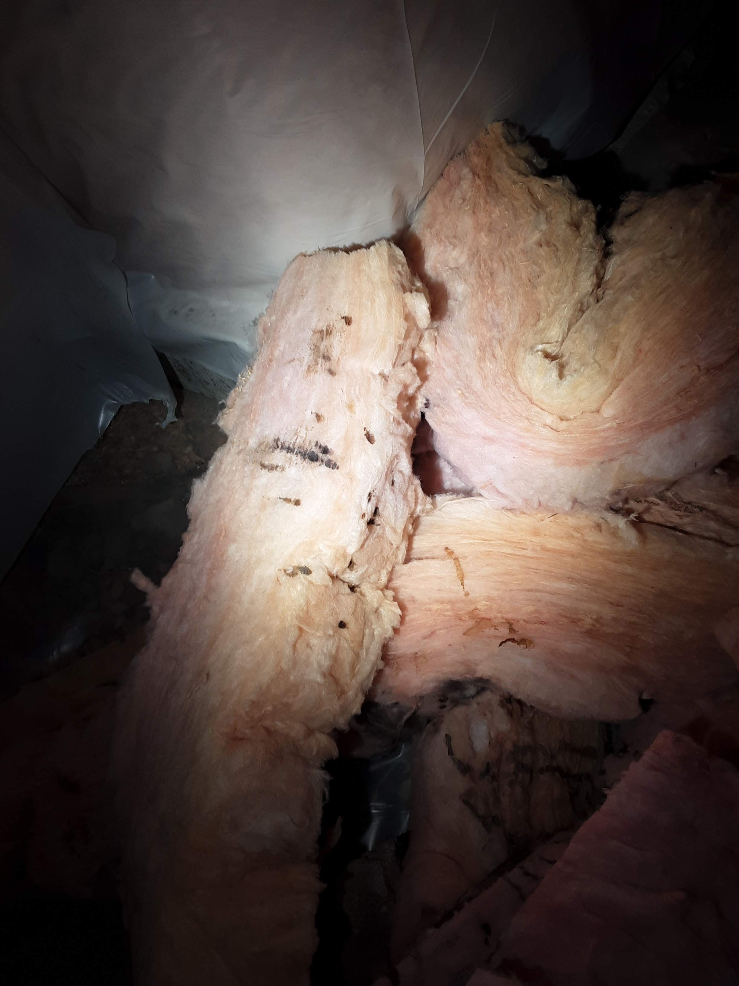 Interior water damage inspection by ASAP Roofing & Restoration