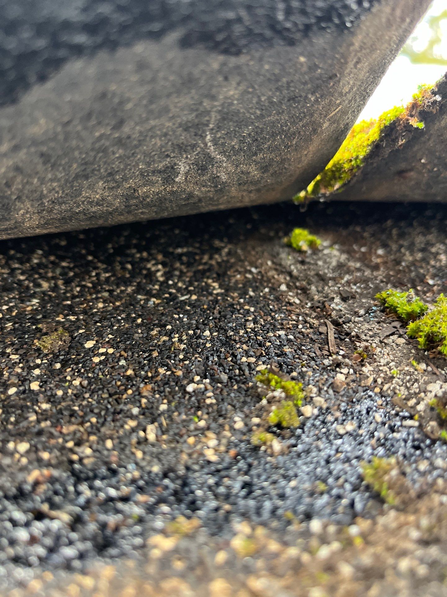 Project in Spokane by Connolly Construction Company