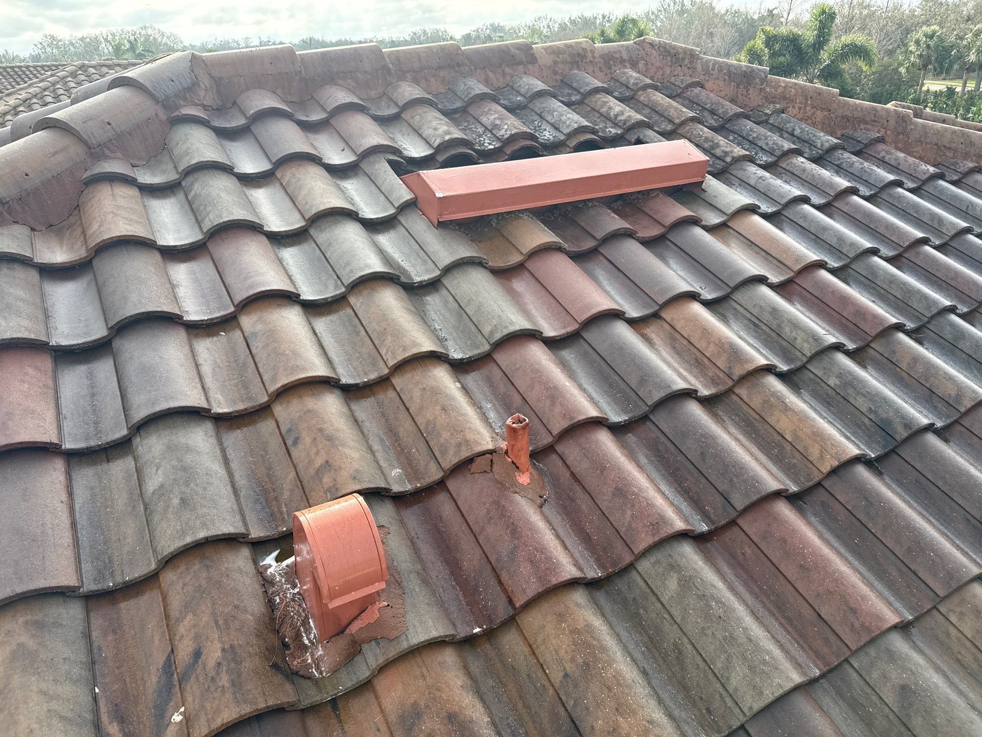 Paver Pool Deck, Driveway & Concrete Tile Roof Cleaning in River Strand, Bradenton, FL | Sunshine AquaWash by Sunshine AquaWash