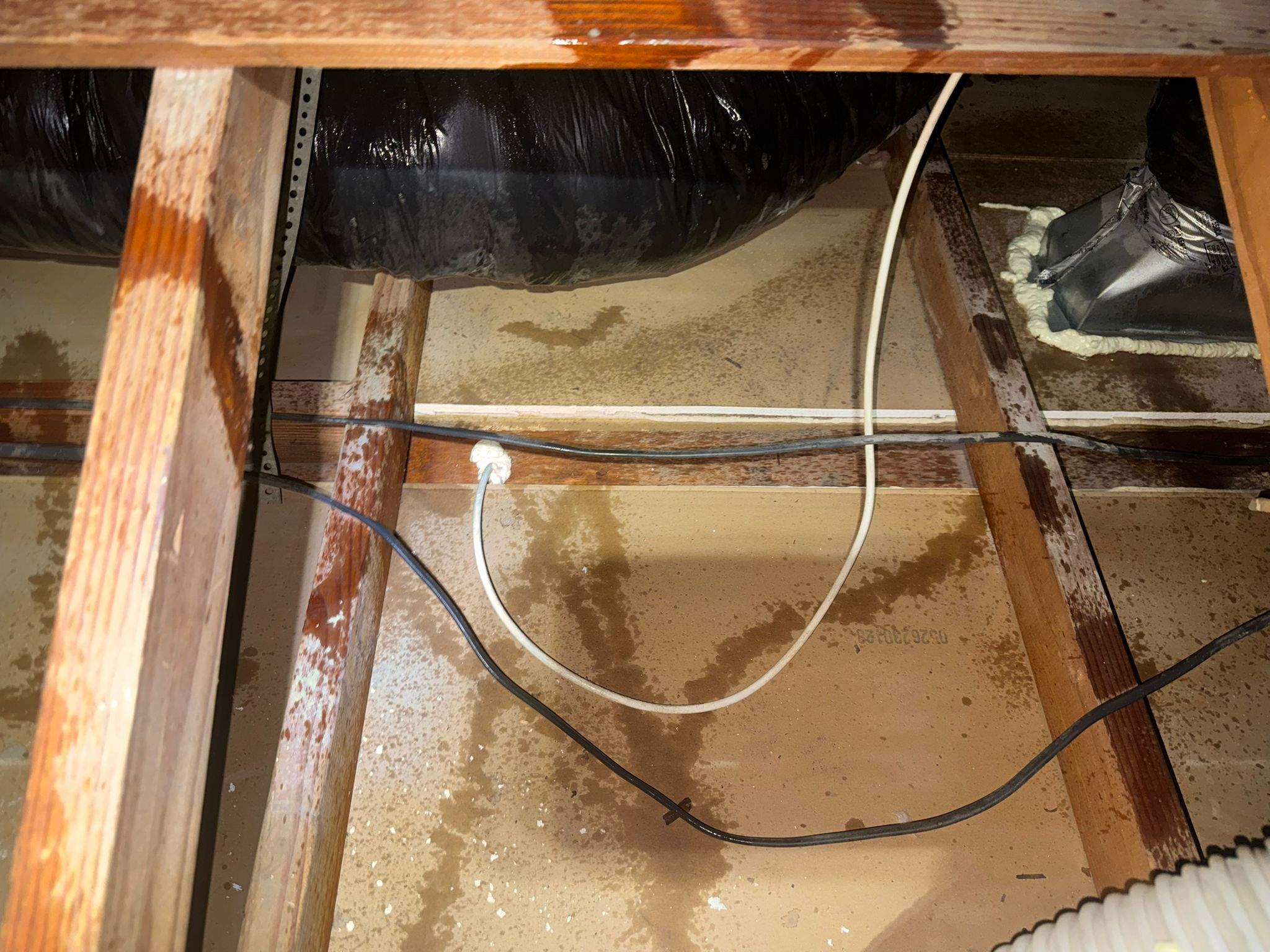 Project by Advanced Attic Solutions by Advanced Attic Solutions