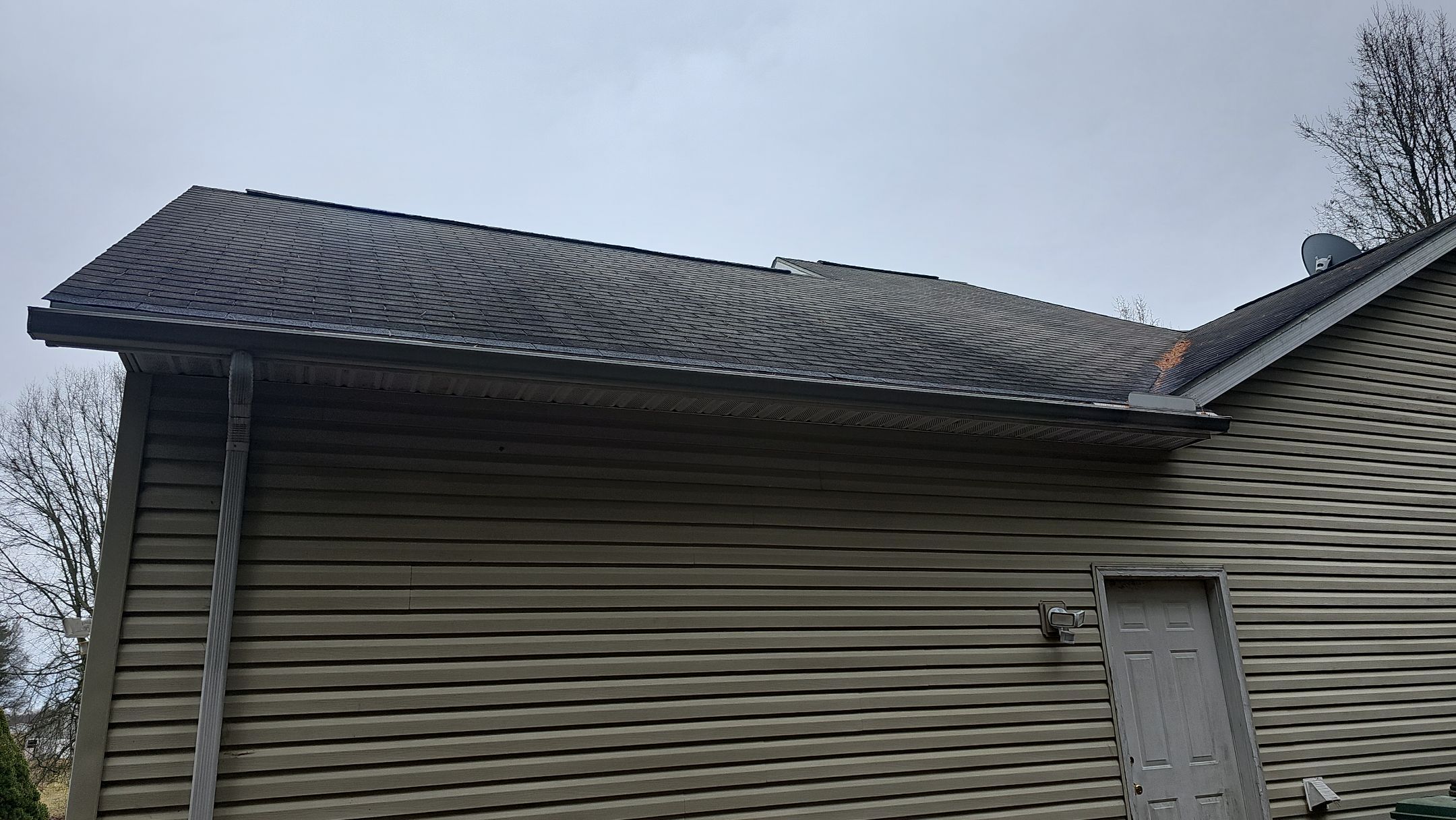 Alpha Rib, Color: Forest Green by Eagle Eye Roofing