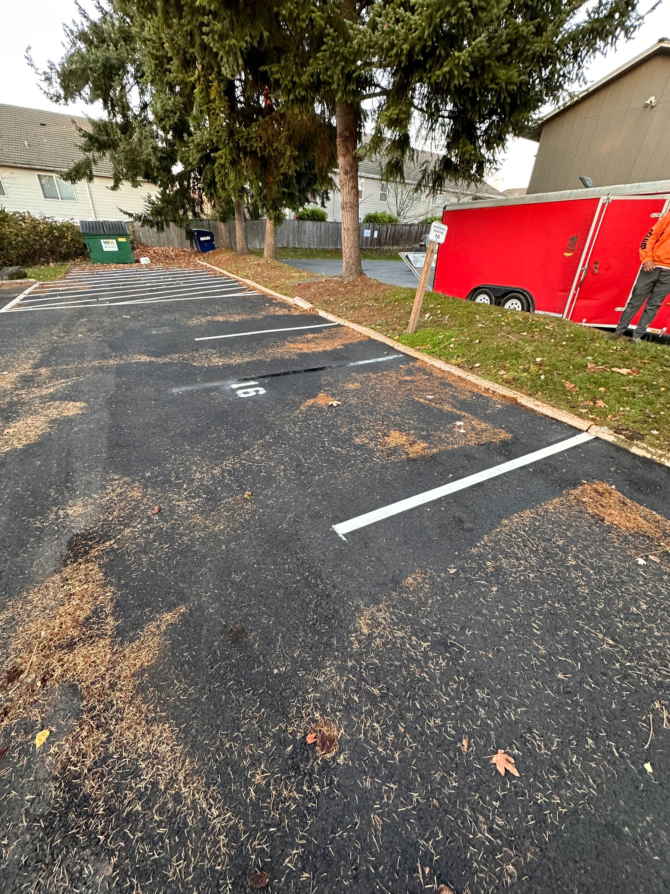 Dana | Asphalt Parking Lot Repair, Sealcoat & Striping by Jireh Asphalt & Concrete Inc 