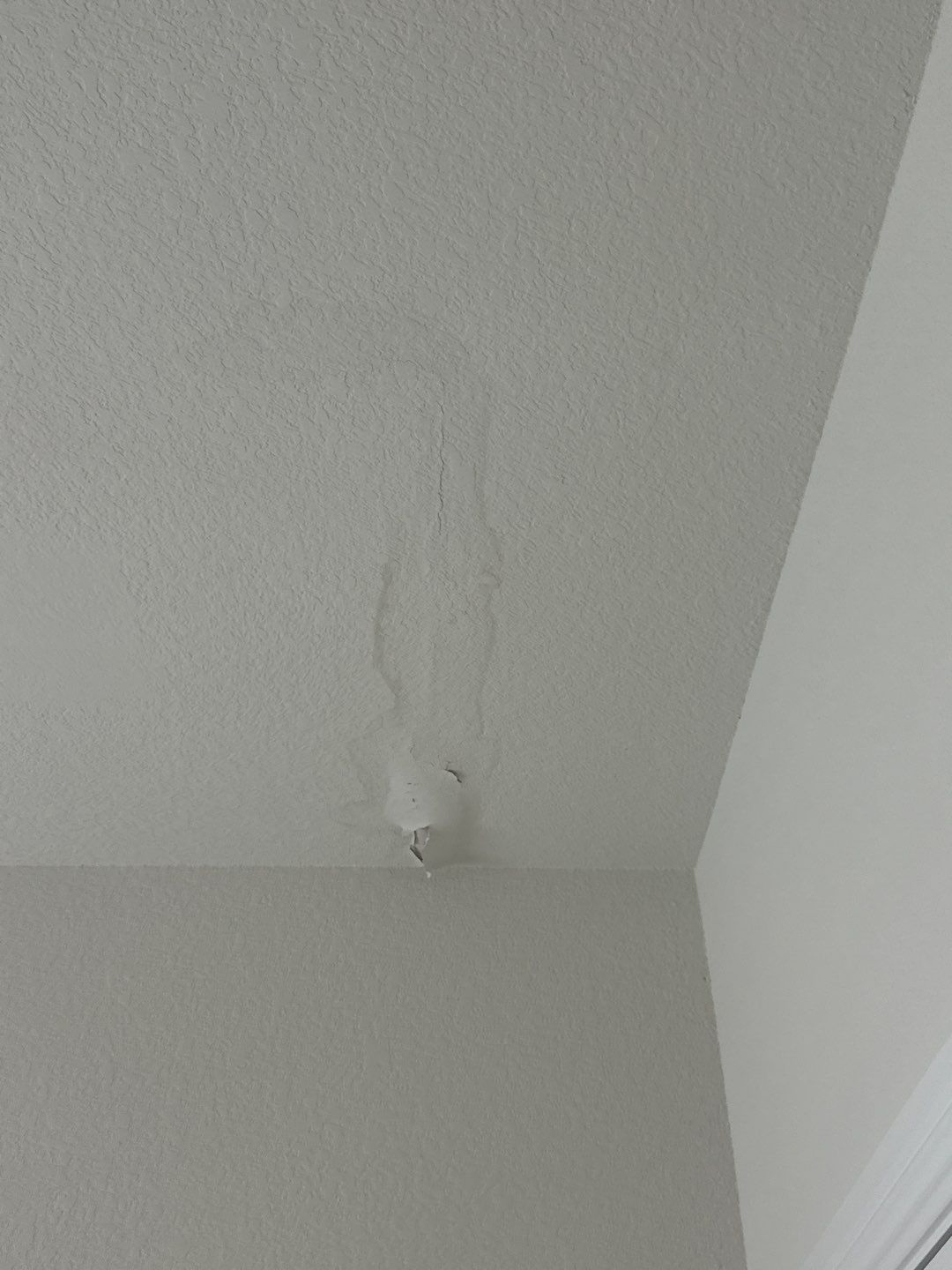 Hail Damage using Owen's Corning Duration (Lifetime) Shingles by Roof Repair Company