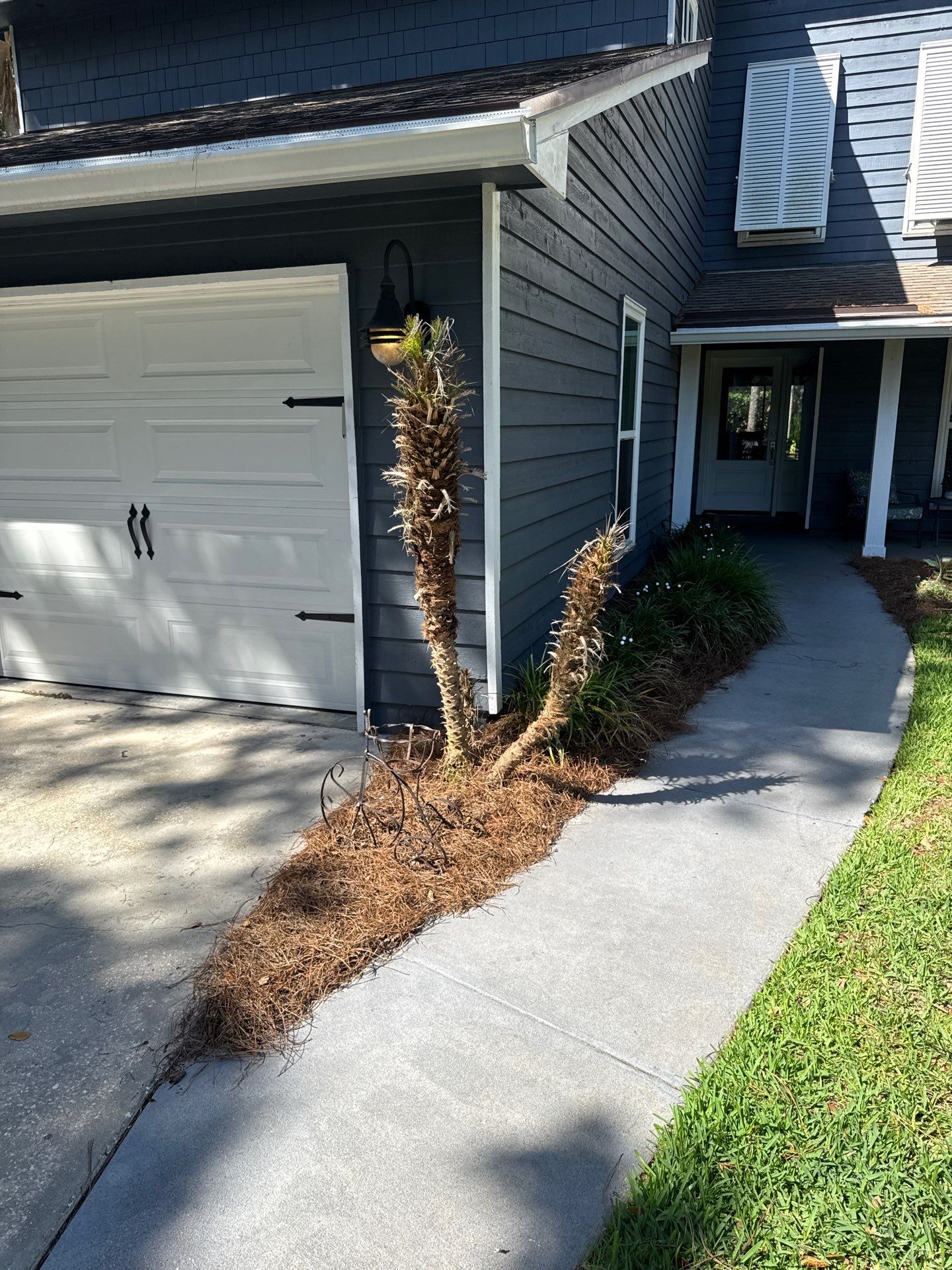 Residential | Pine Straw Install by ProGreen Services