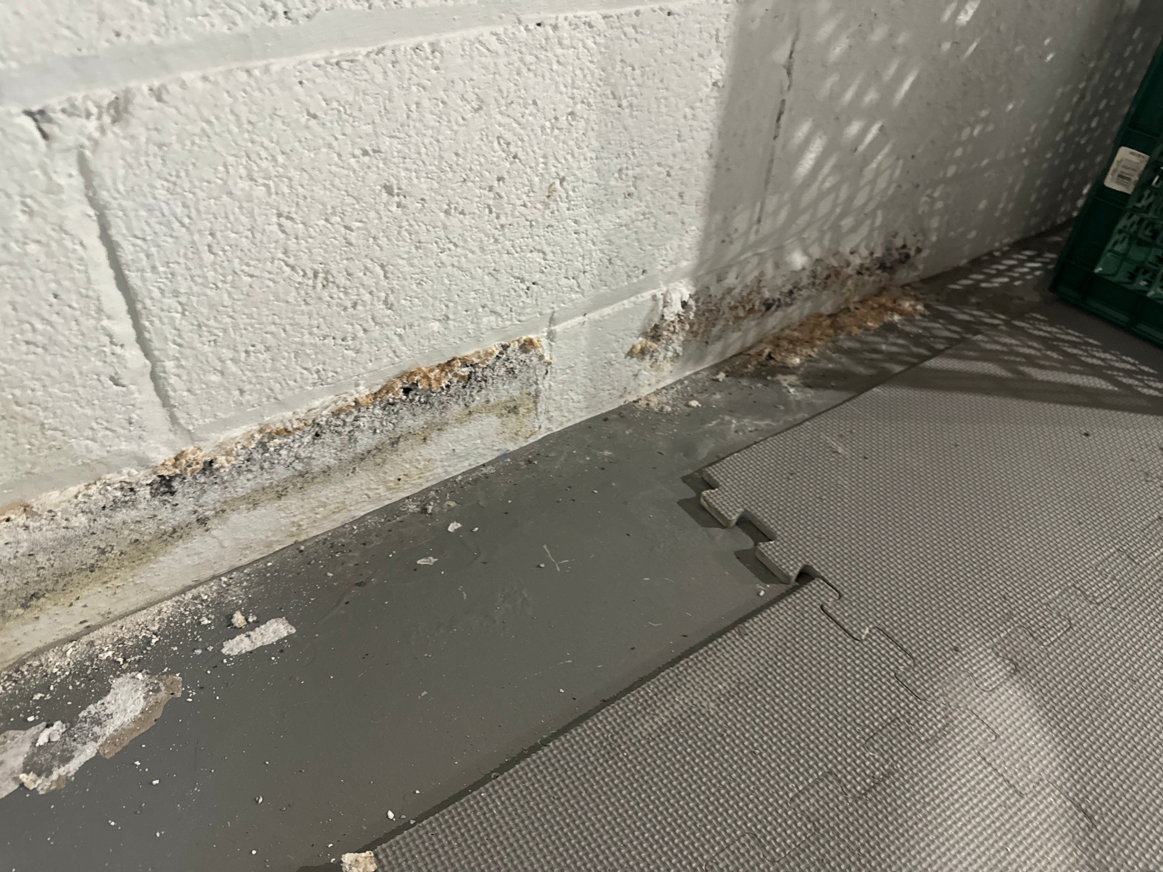 Interior French Drain Boonton NJ by Pure Service Pro, LLC 