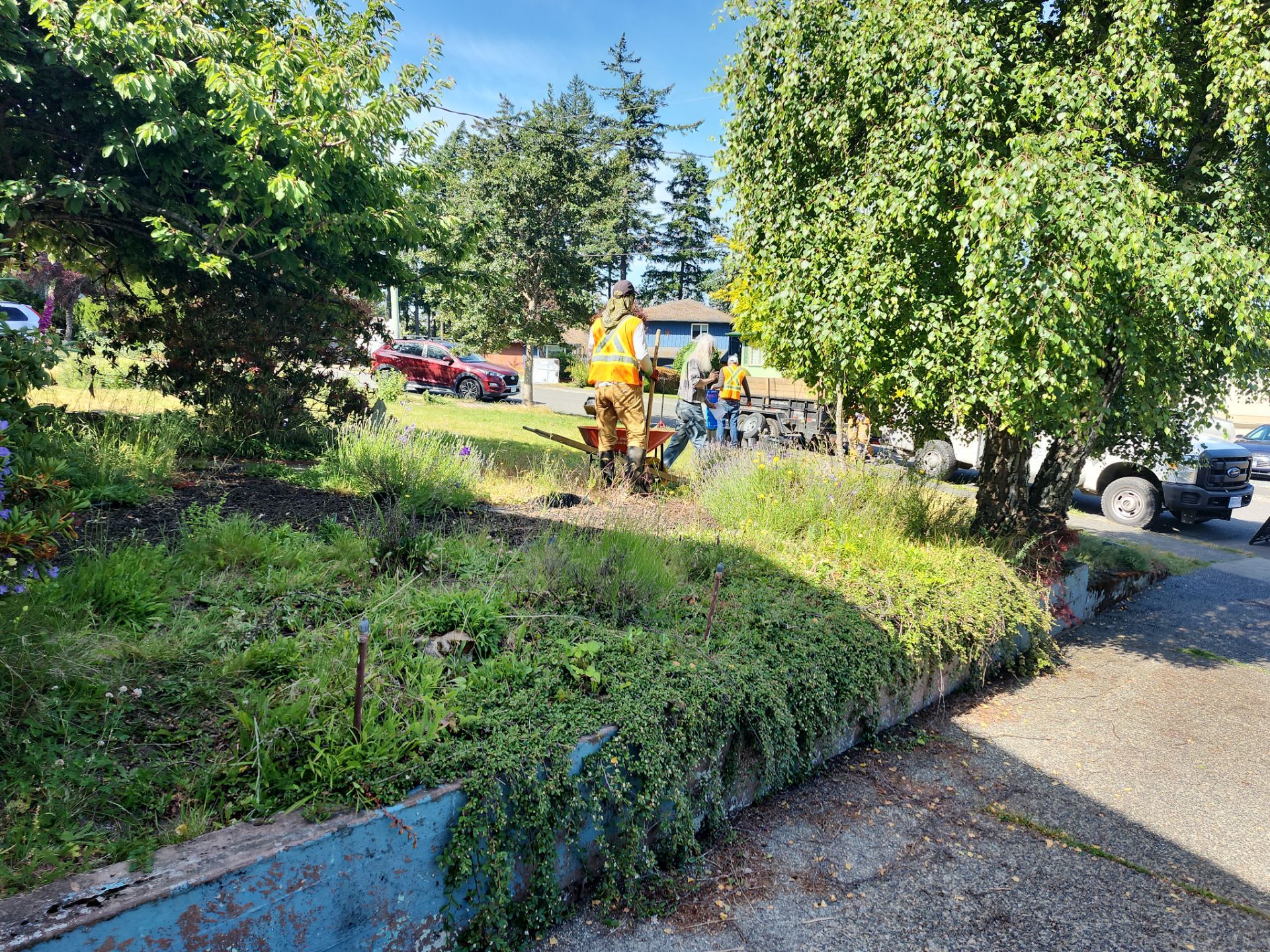 Front Yard Ecological Conversion – A West Coast-Inspired Low-Maintenance Oasis by Habanero Garden and Exterior Care