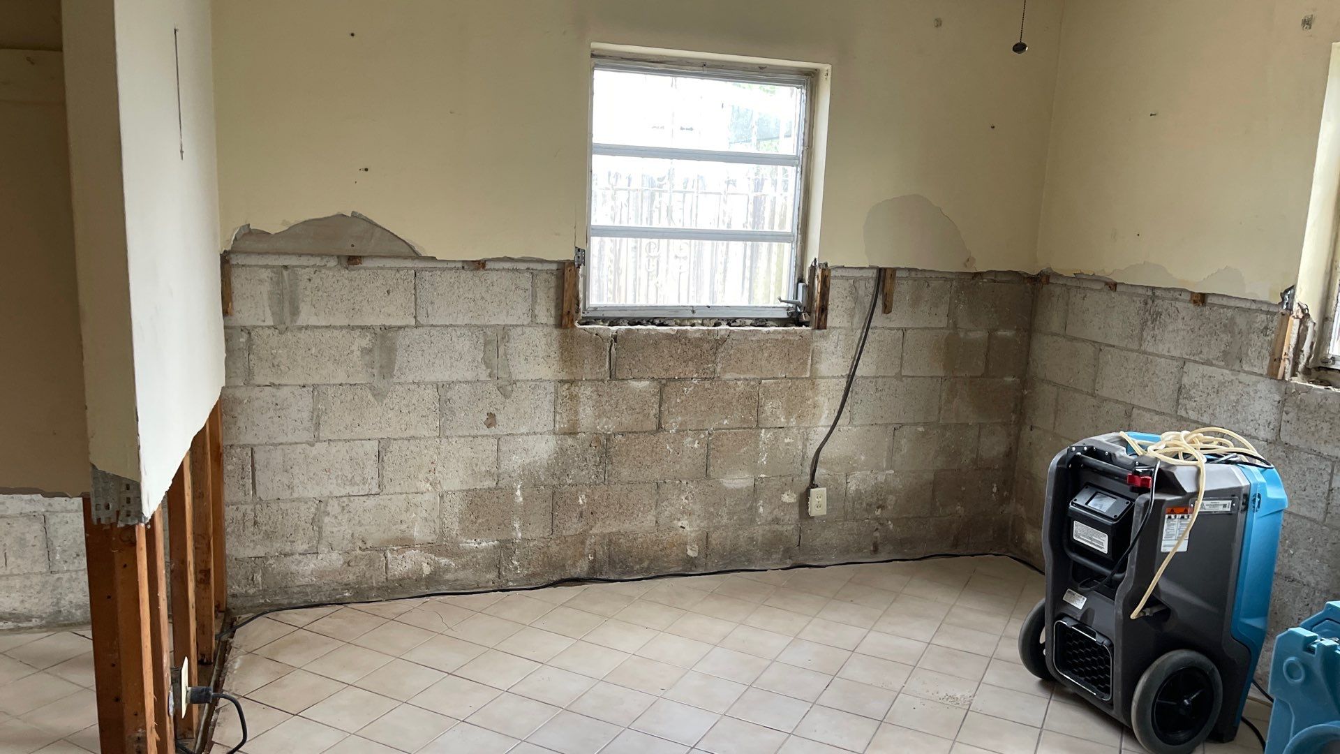 Mold Remediation  by THE RAPID TEAM