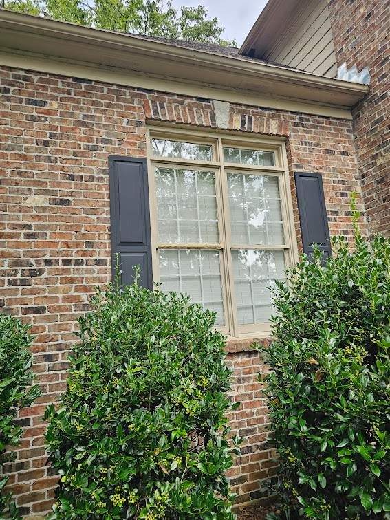 Dew Project in Hoover by The Window Source