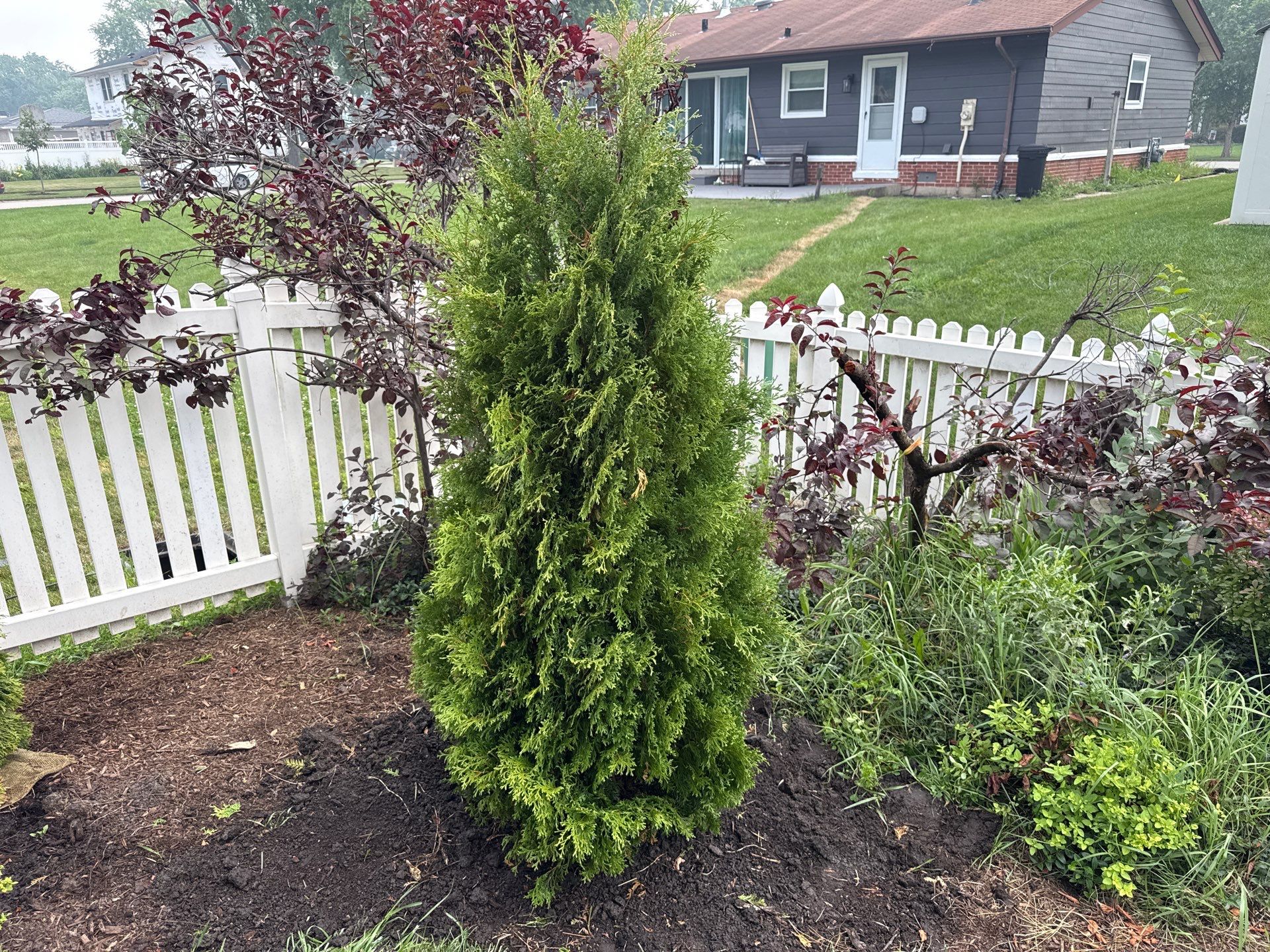 Rudel B. - Elk Grove Village, IL by A&N